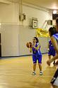 Basket 242052